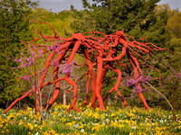 Steel Roots