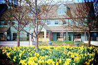 Images of the Arboretum