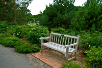 Memorial Benches