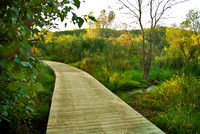 Bog Walk