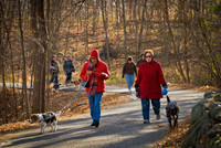 All About Dogs 2010