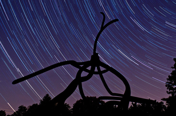 Steelroots & Star Trails