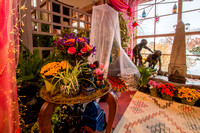 Spring Flower Show