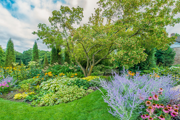 The Snyder Building Garden