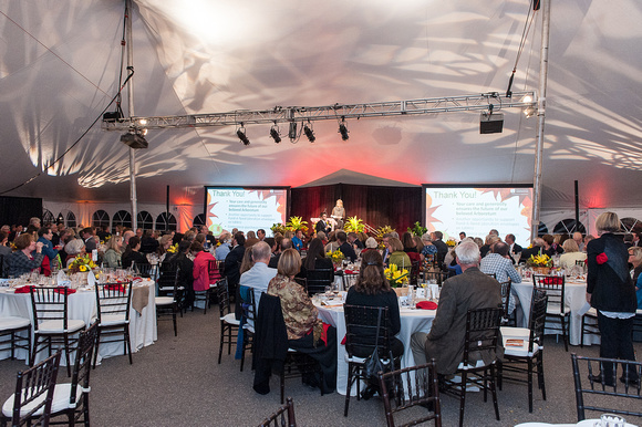 2014 Gala in the Gardens