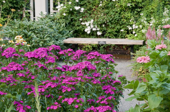 flowers in the Home Demo Garden