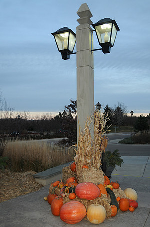 Halloween decorations at the Arboretum