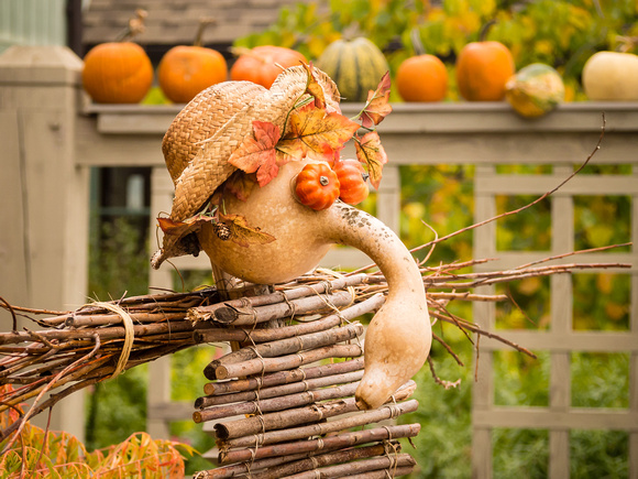 Arboretum Autumn Experience