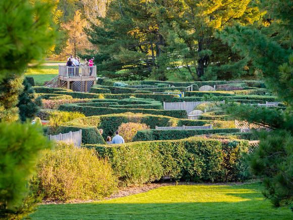 View of Maze Garden