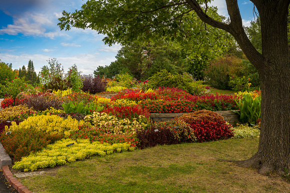 Annual Garden Autumn 2022