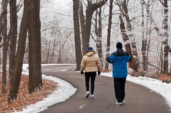 Winter walkers