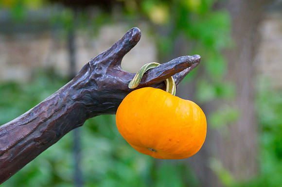 Arboretum Autumn Experience