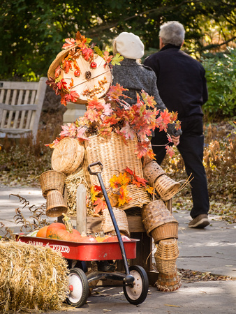 Arboretum Autumn Experience