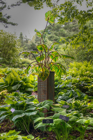 Nature in Glass