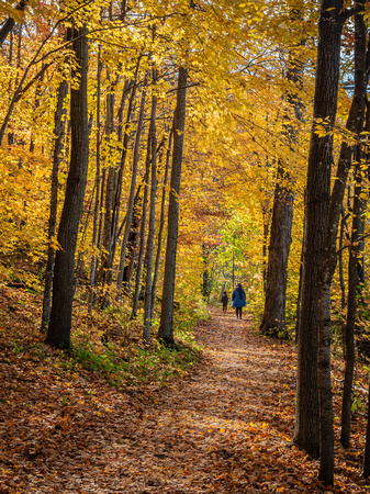 Walking Wood Duck Trail