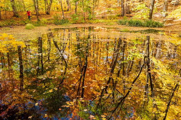 Pond Reflection 02