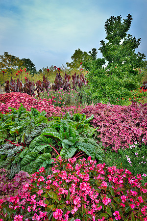 Oswald Garden