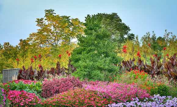 Oswald Garden