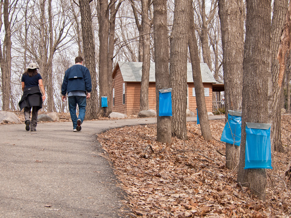 Spring walkers