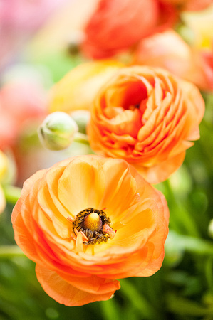 Design a Spring Floral Basket