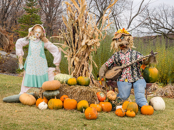 Scarecrows in the Garden - 2012