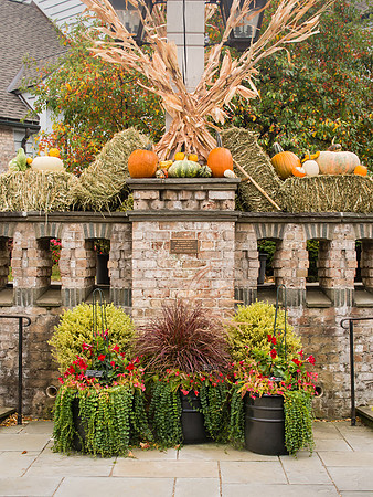 Snyder Building Entrance Garden in the Fall