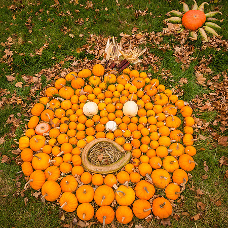 Pumpkin Palooza  2012