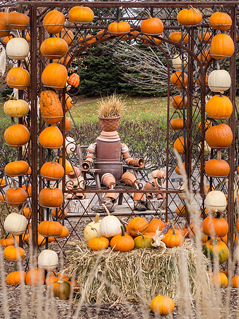 Scarecrows in the Garden - 2012