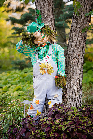 Scarecrows in the Garden - 2012