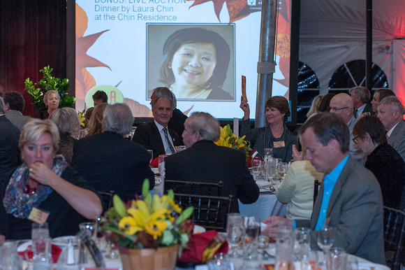 2014 Gala in the Gardens