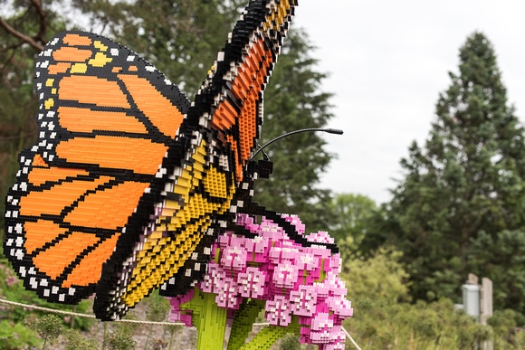 Monarch Butterfly on Milkweed | Nature Connects: Art with LEGO Bricks