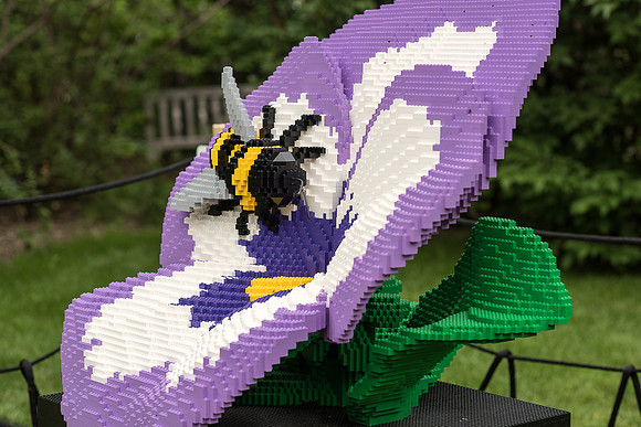 Giant Pansy Bloom | Nature Connects: Art with LEGO Bricks