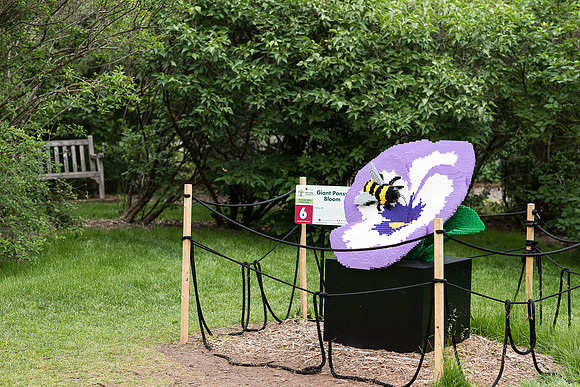 Giant Pansy Bloom | Nature Connects: Art with LEGO Bricks
