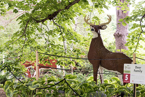 Deer Family | Nature Connects: Art with LEGO Bricks