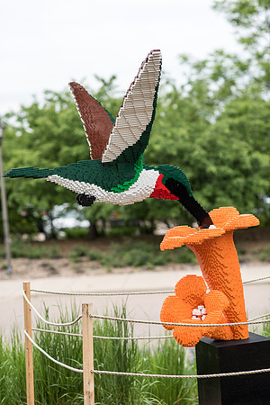 Hummingbird on Flower | Nature Connects: Art with LEGO Bricks