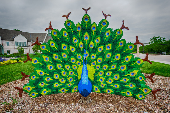 Peacock | Nature Connects: Art with LEGO Bricks