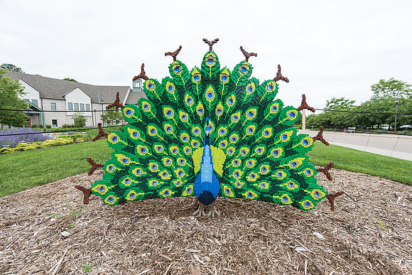 Peacock | Nature Connects: Art with LEGO Bricks