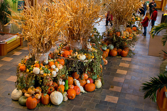 Pumpkin Palooza Pumpkin Great hall from balcony 03