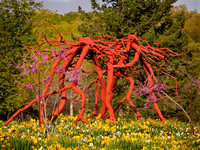 Steel Roots