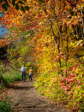 Green Heron Trail in Fall