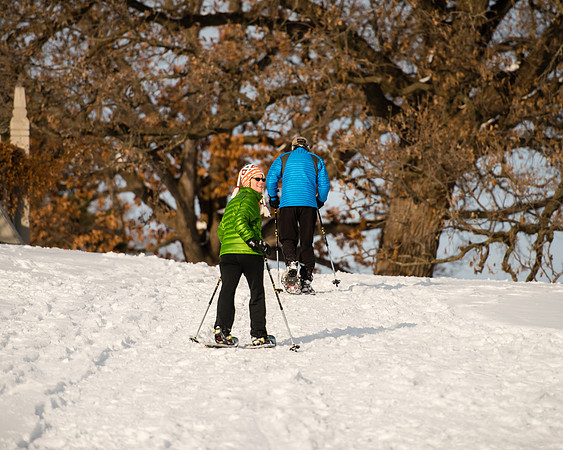 Snowshoeing by the Wilson Rose Garden