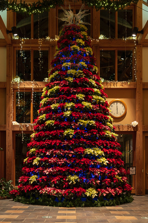 2022 Winter Lights_Todd Mulvihil_1865
