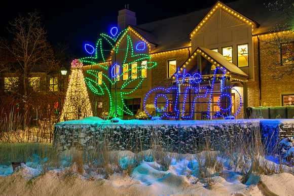 2022 Winter Lights_Todd Mulvihil_1869