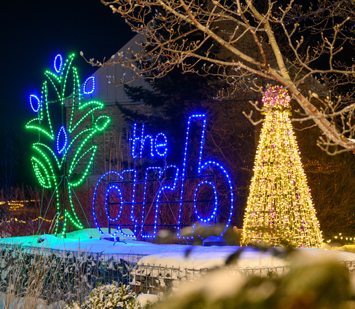 2022 Winter Lights_Todd Mulvihil_1876