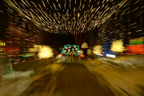 2022 Winter Lights_Todd Mulvihil_1883