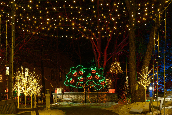 2022 Winter Lights_Todd Mulvihil_1892