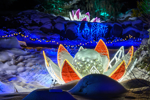 2022 Winter Lights_Todd Mulvihil_1910