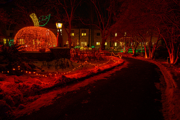 2022 Winter Lights_Todd Mulvihil_1924