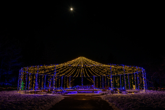 2022 Winter Lights_Todd Mulvihil_1974
