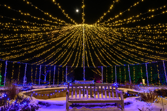 2022 Winter Lights_Todd Mulvihil_1994